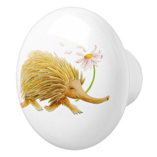 Echidna animal watercolor whimsy art knob