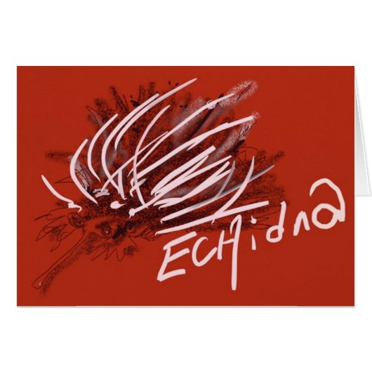 Echidna Anteater Porcupine hedgehog Ant eater (Front Horizontal)