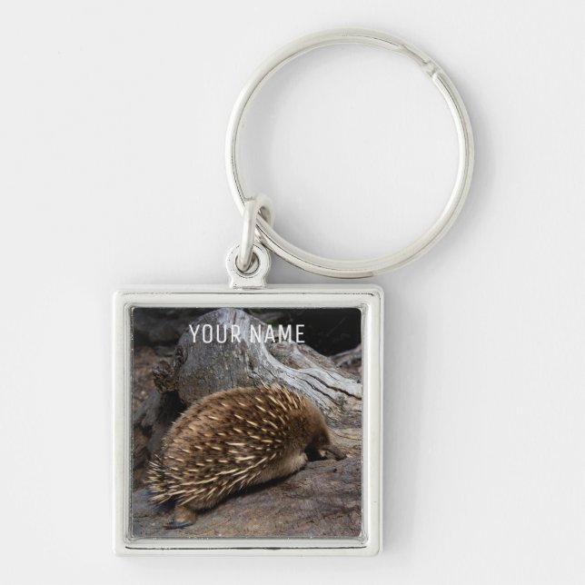 Echidna Australia Cute Animal Anteater Keychain (Front)