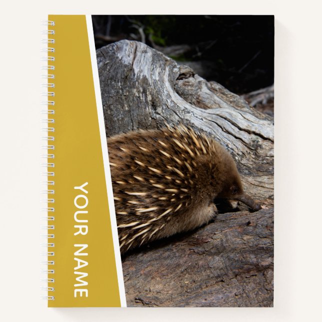 Echidna Australia Cute Spiky Animal, Gold Notebook (Front)