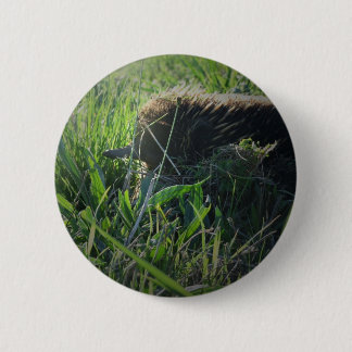 Echidna Button