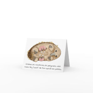 Echidna Mother's Day Card