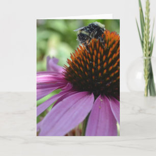 Echinacea and Bee Card