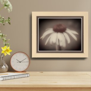 Echinacea Coneflower Daisy Vintage Framed Art