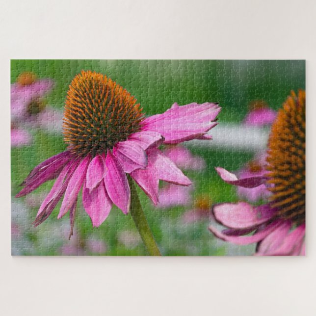 Echinacea  Flower Jigsaw Puzzle (Horizontal)