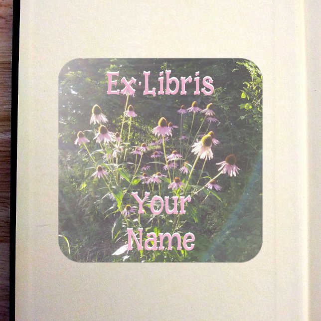 Echinacea Flowers in the Sun Bookplate (Echinacea Flowers in the Sun Bookplate in Old Book)