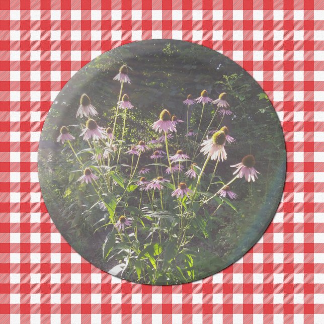 Echinacea Flowers in the Sun Paper Plates (Echinacea Flowers in the Sun Paper Plates on Tablecloth)