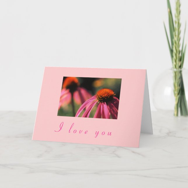 "Echinacea I Love You" Holiday Card (Front)