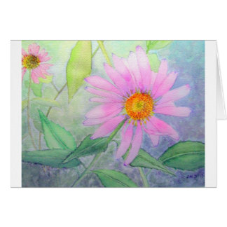 Echinacea in Bloom Cards
