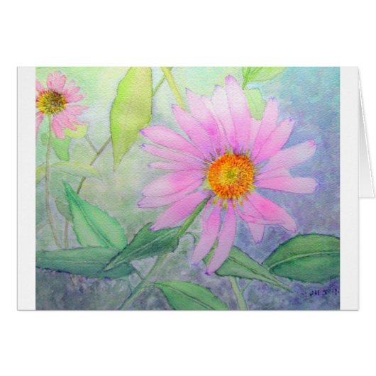 Echinacea in Bloom Cards (Front Horizontal)