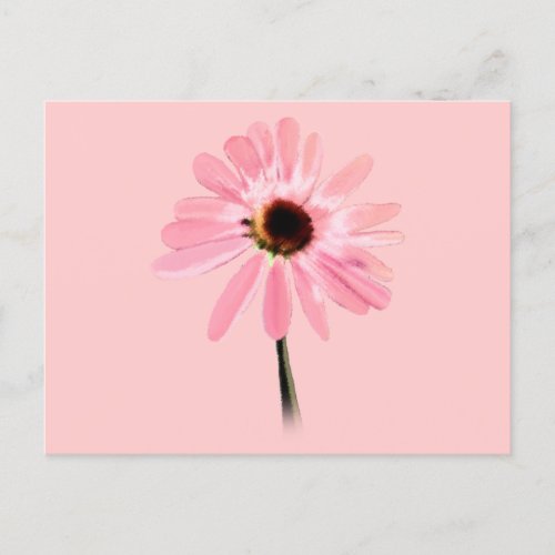 Echinacea purpurea postcard