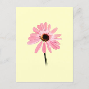 Echinacea purpurea postcard