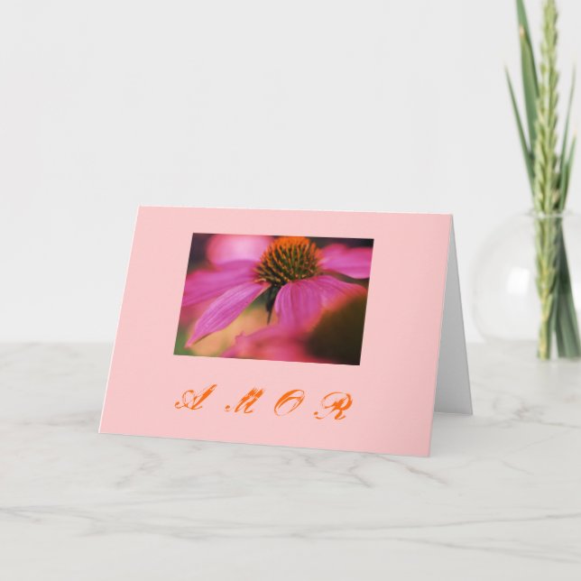 "Echinacea y amor" Holiday Card (Front)