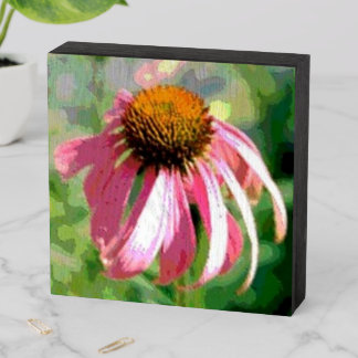 Echinecea Flower Wooden Box Sign