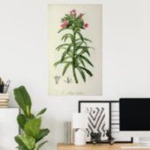 Echium Grandiflorum Poster (Home Office)