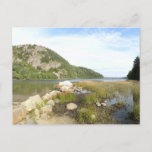 Echo Lake Beach at Acadia National Park Postcard