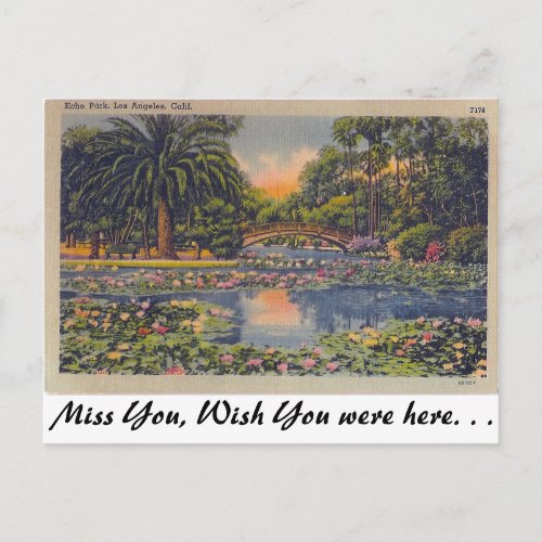 Echo Park Los Angeles California Postcard