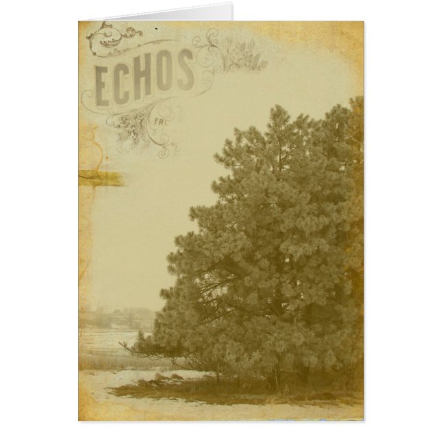 Echos of Winter Cards (Front)