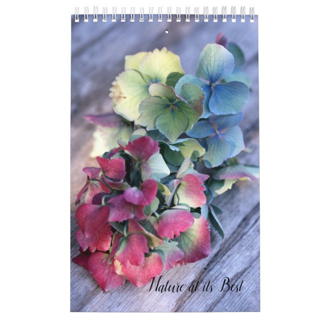 Eclectic Nature Calendar  (Cover)