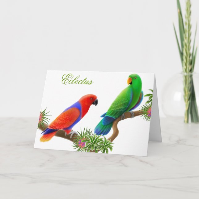 Eclectus Birds Greeting Card (Front)