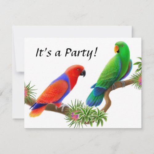 Eclectus Birds Invitation