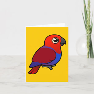 Eclectus Parrot Card