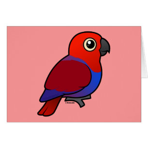 Eclectus Parrot female Cards