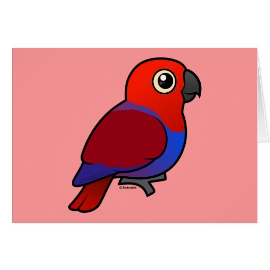 Eclectus Parrot female Cards (Front Horizontal)