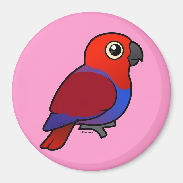 Eclectus Parrot female Magnet (Front)