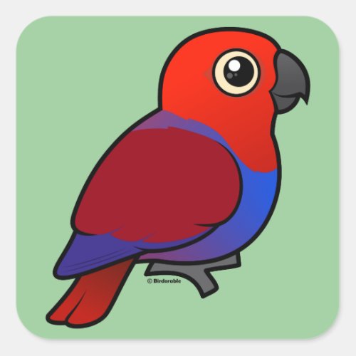 Eclectus Parrot female Square Sticker