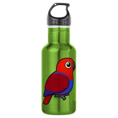 Eclectus Parrot female Water Bottle