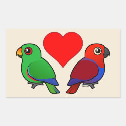 Eclectus Parrot Love Rectangle Sticker