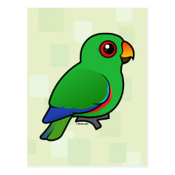 Customizable Male Eclectus Parrot Postcard