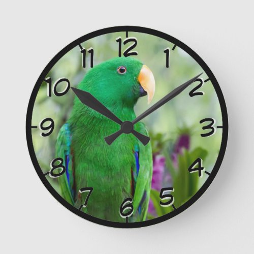 Eclectus Parrot Male Round Clock