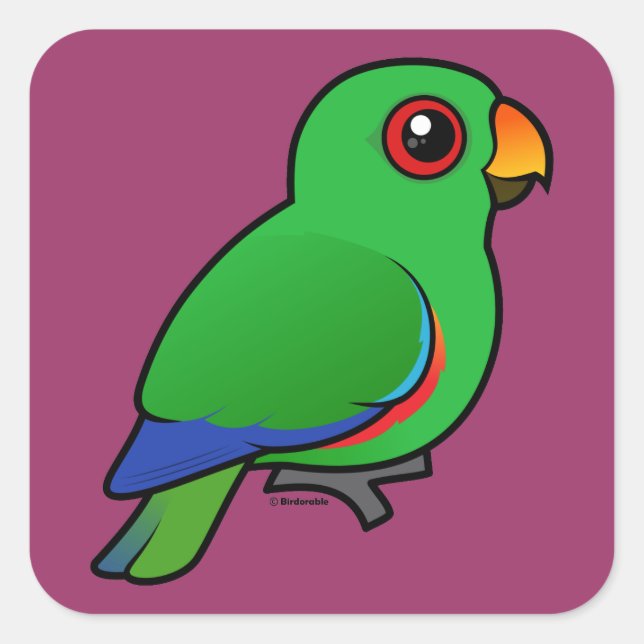 Eclectus Parrot male Square Sticker (Front)