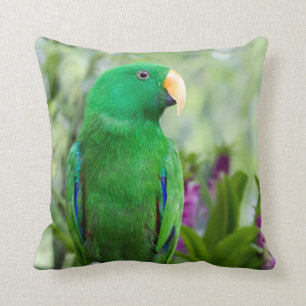 Eclectus Parrot Male Throw Pillow
