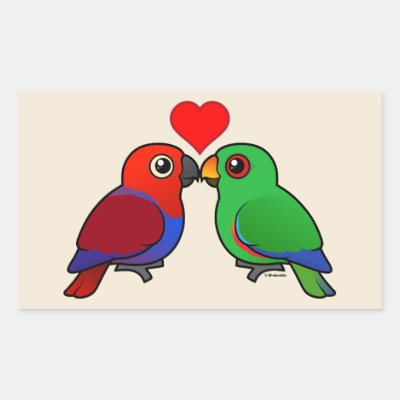 Eclectus Parrots in Love Rectangular Sticker