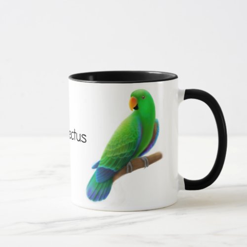 Eclectus Parrots Mug