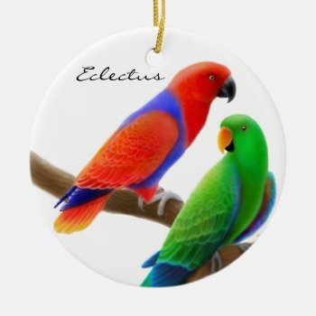 Eclectus Parrots Ornament by ornamentation at Zazzle