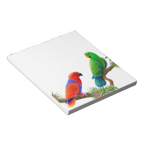 Eclectus Red Green Parrots Notepad