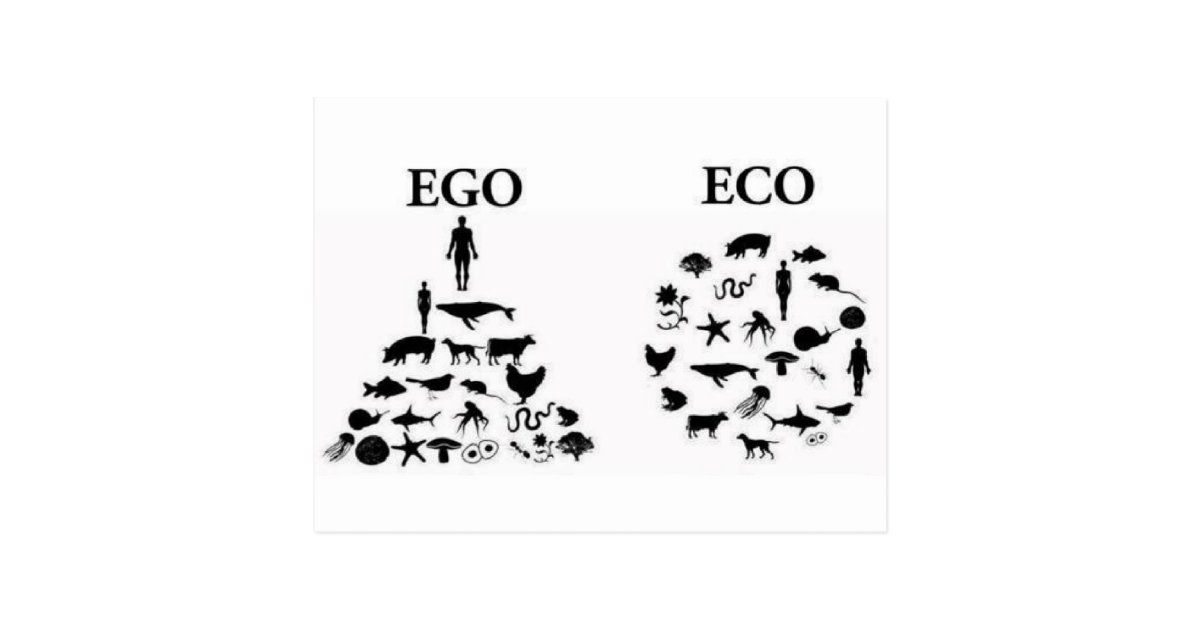 eco ego postcard | Zazzle.com