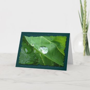 Eco Friendly Water Conservation Gifts & Gear Card by EarthGifts at Zazzle