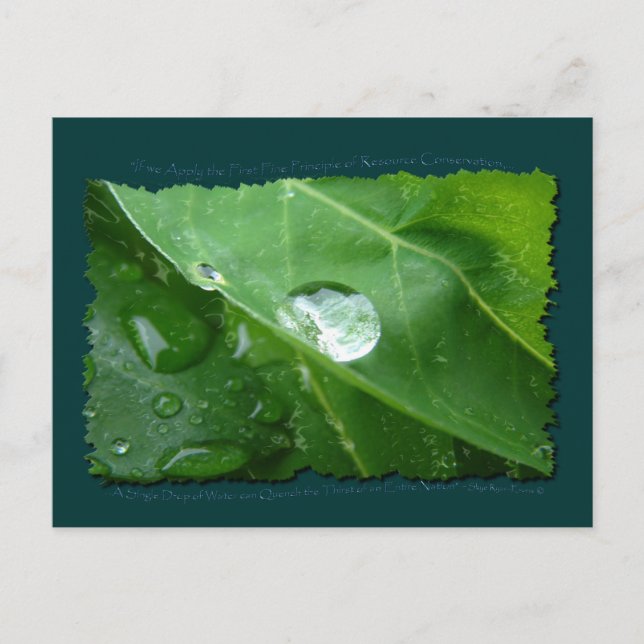 ECO FRIENDLY WATER CONSERVATION Gifts & Gear Postcard (Front)