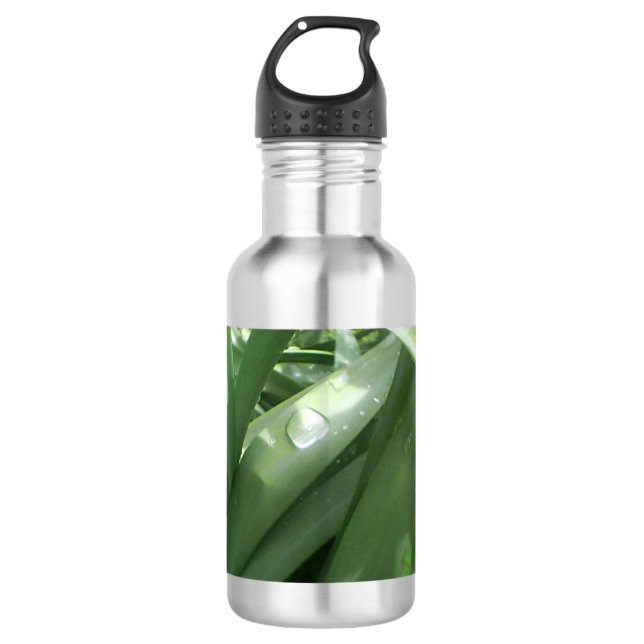 Eco Green Stainless Steel Water Bottle (Front)