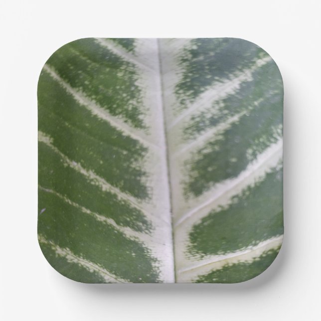 Eco Harmony 7" Square Paper Plate (Front)