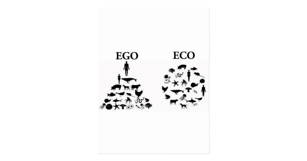 Eco vs Ego Postcard | Zazzle.com