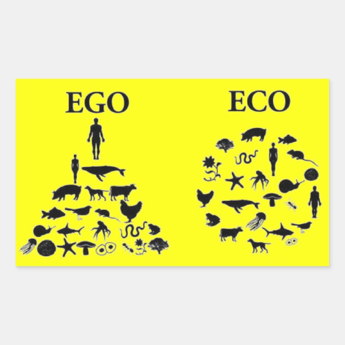 Eco vs Ego Sticker