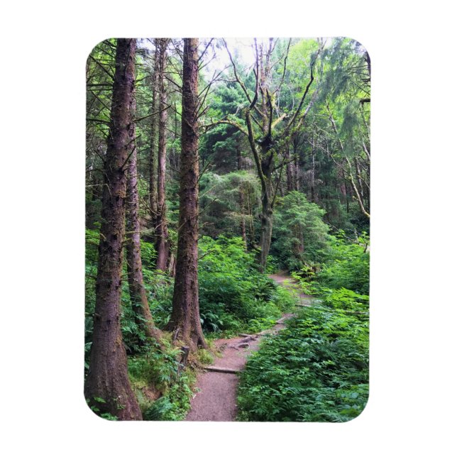 Ecola State Park, Cannon Beach, Oregon Magnet (Vertical)