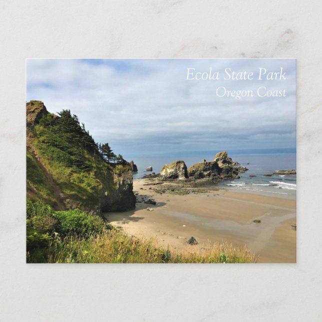 Ecola State Park, Cannon Beach, Oregon Postcard (Front)
