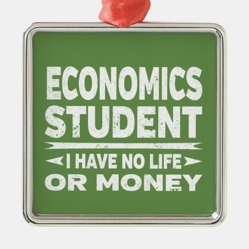 Economic College Student I Have No Life No Money Metal Ornament